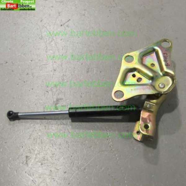 PLURIEL/ SCHARNIER + GASDEMPER ONDERKANT RUIT/ LINKS 9648711180 9648710980/ ZIE 8484E3