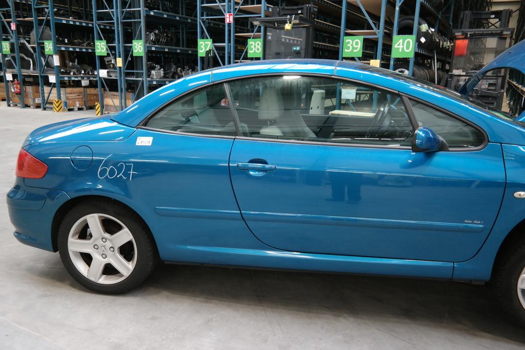 PEUGEOT 307