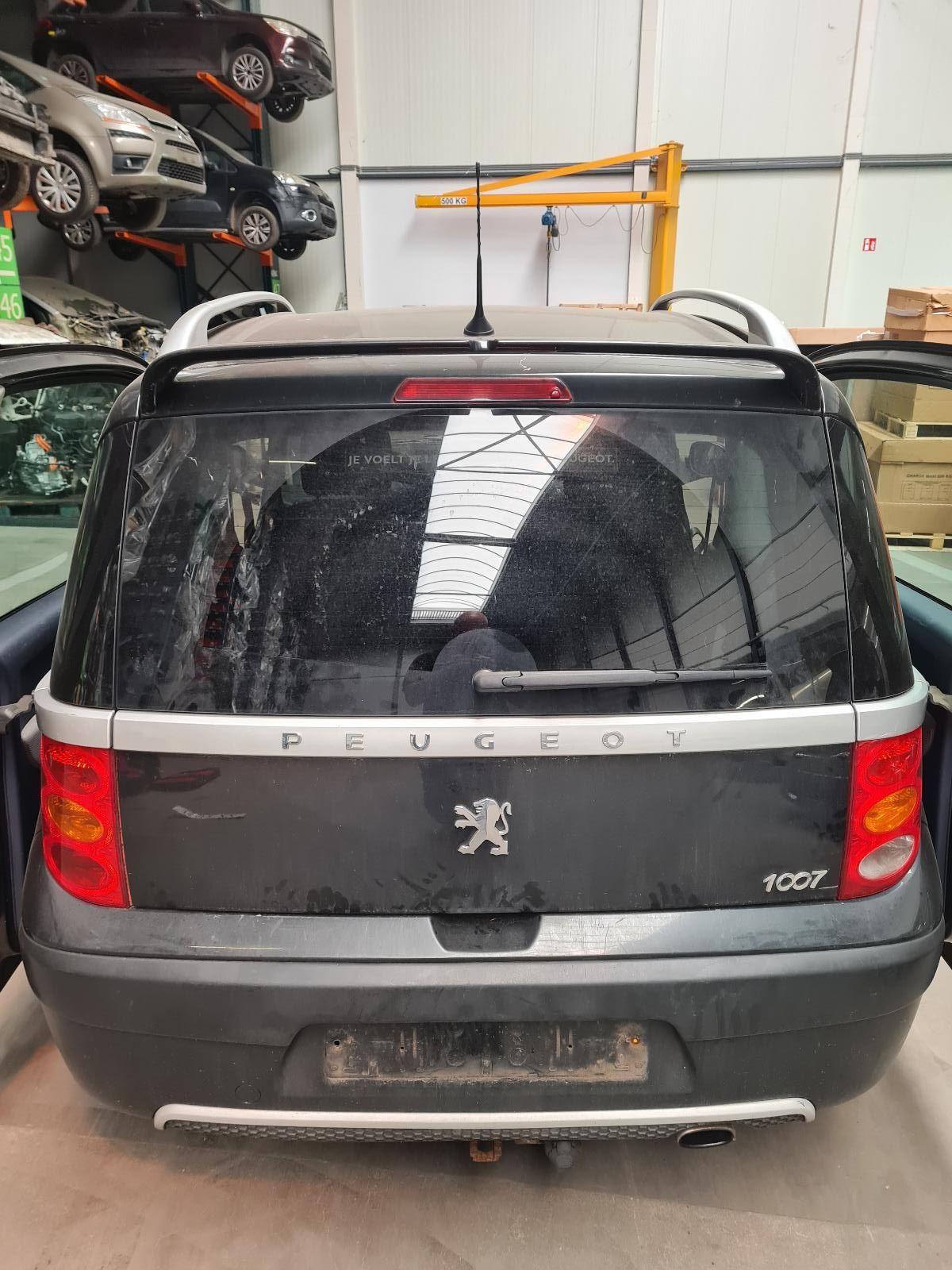 PEUGEOT 1007