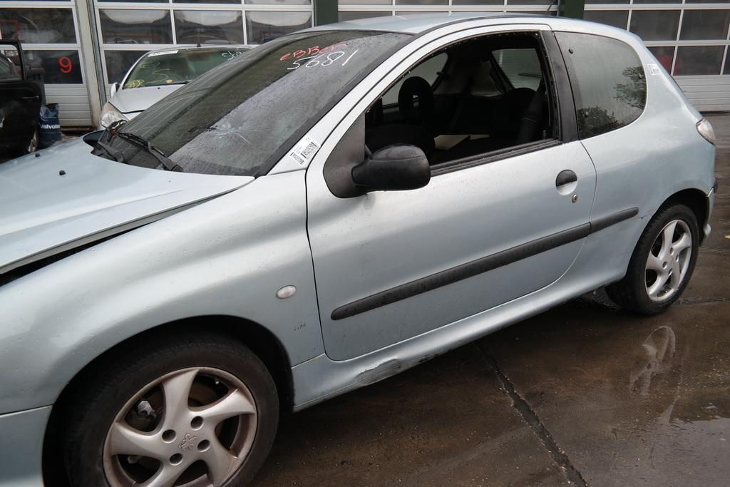 PEUGEOT 206