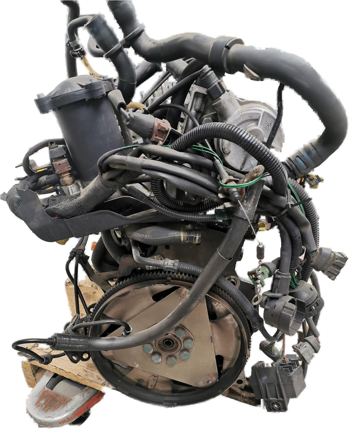 PSA P8C 10DA7W 6000308 E1 !-DIESELPOMP -VERSTUIVERS -TURBO XU11BTE JH