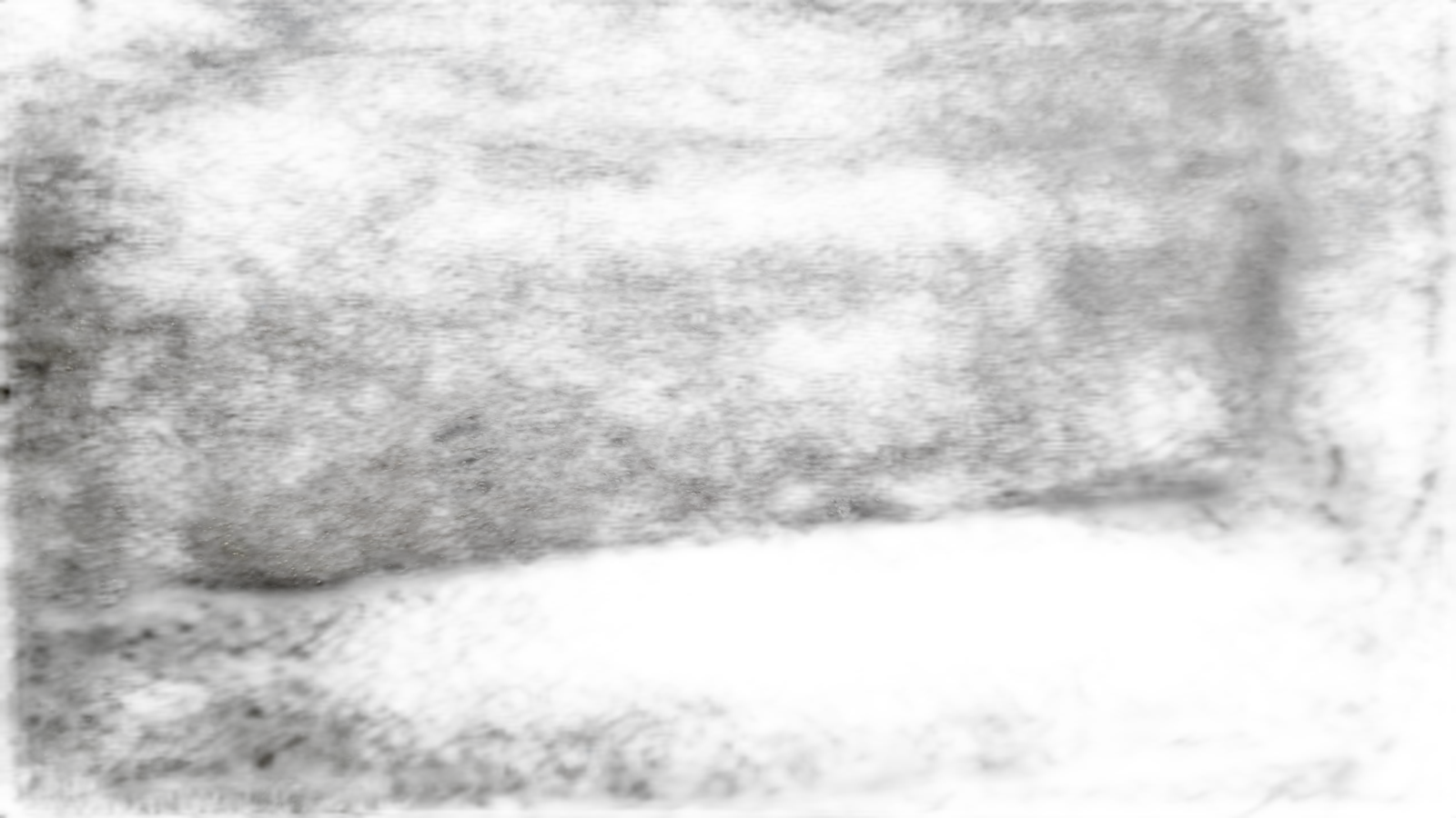 20DM66 8534821